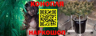 скорость Заводоуковск