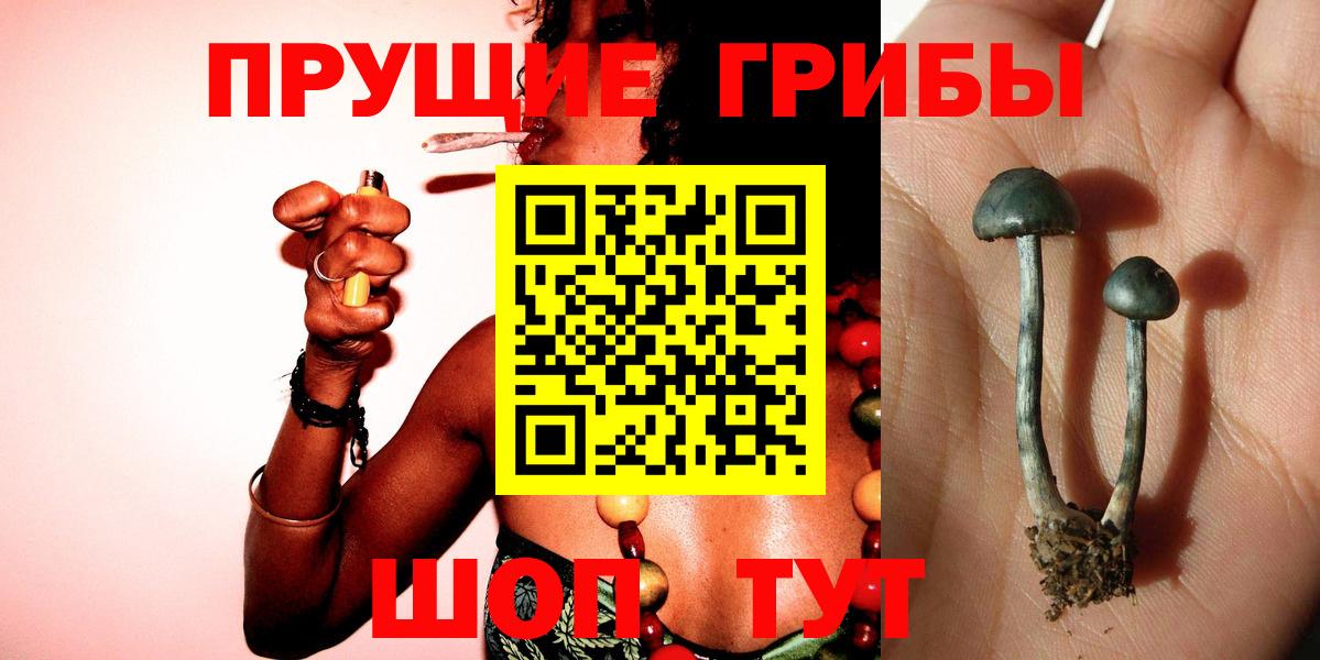 Галлюциногенные грибы Cubensis Нижнекамск