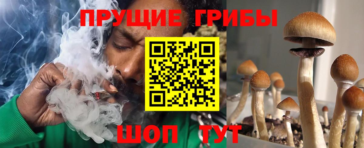 Галлюциногенные грибы ЛСД  Галлюциногенные грибы мицелий  Вход с VPN  Нижнекамск 